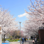 教室前の大井水神公園を通ってJR大森駅北口より徒歩4分